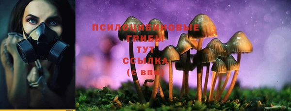 спиды Балахна
